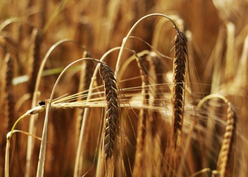 Emily Cooper -Photography